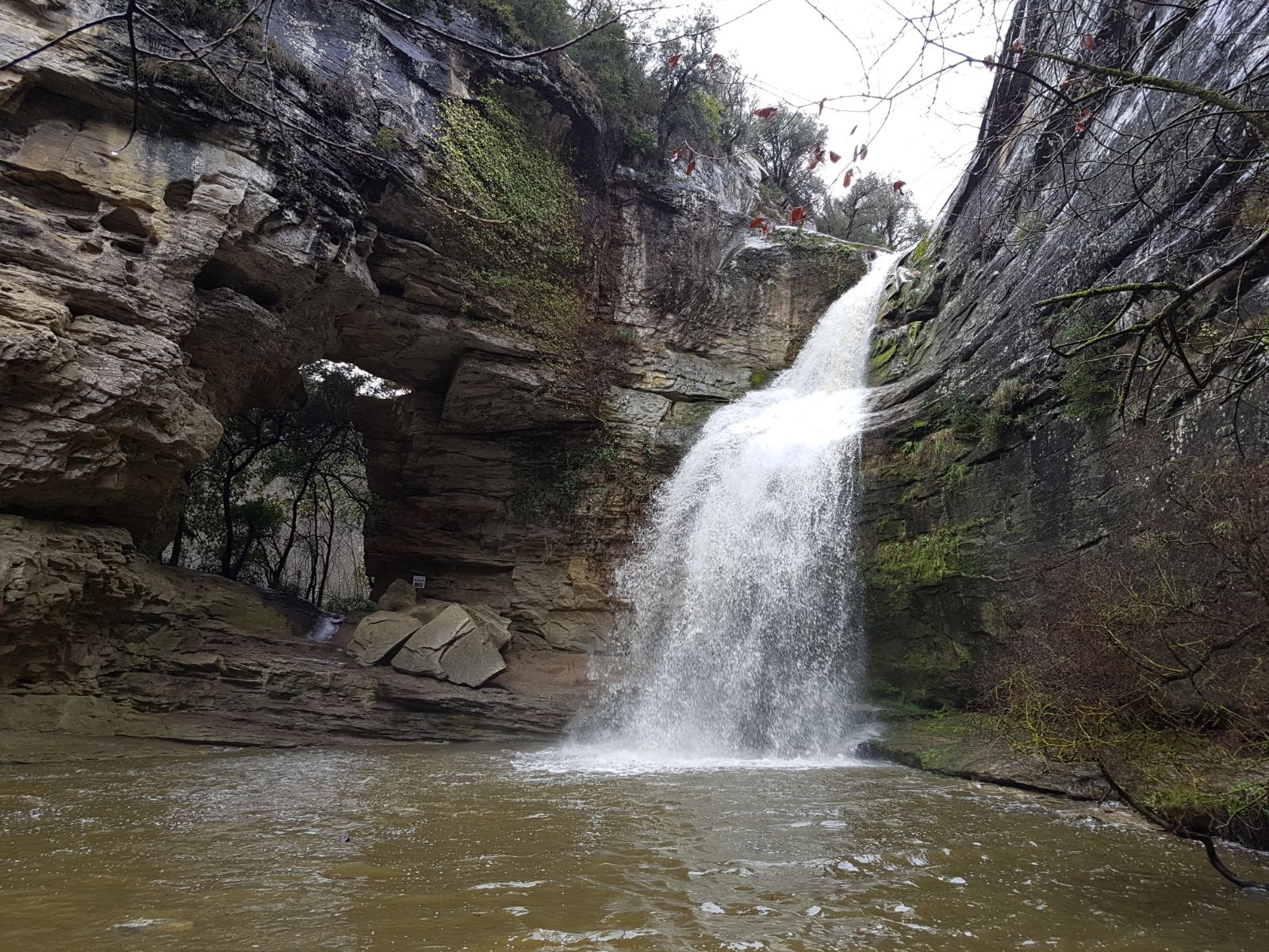 La Forada de Cantonigrós