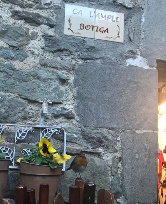 c55934ad-fa61-4131-908c-0225a832b5b7