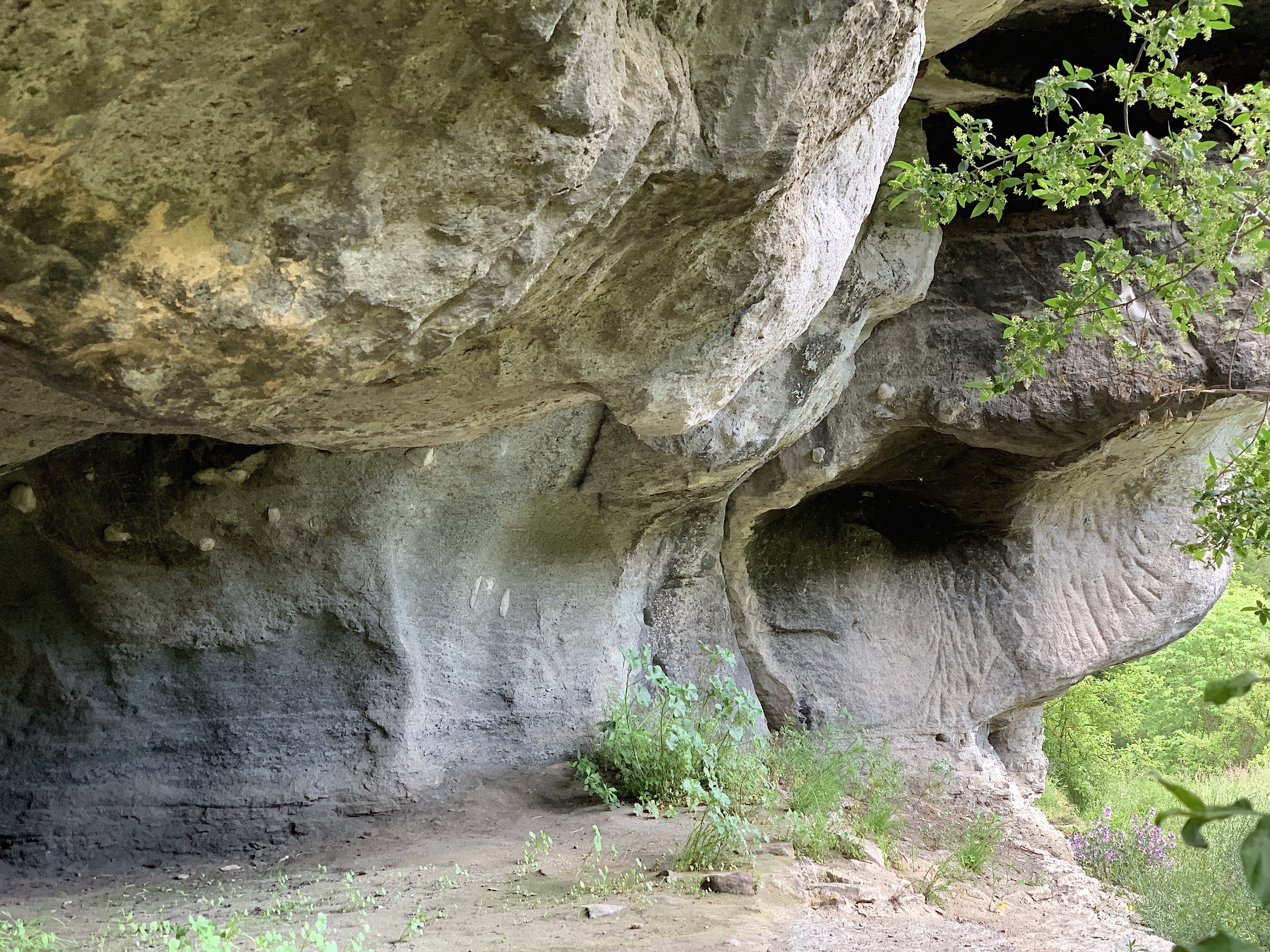 BALMA DE CAN PEDRETES 2020 7